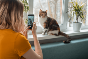 tenant taking a picture of her cat